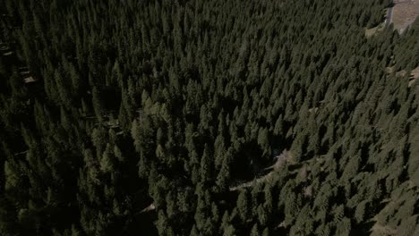 Drohnenaufnahmen-über-Bäumen-Auf-Dolomiten-In-Italien