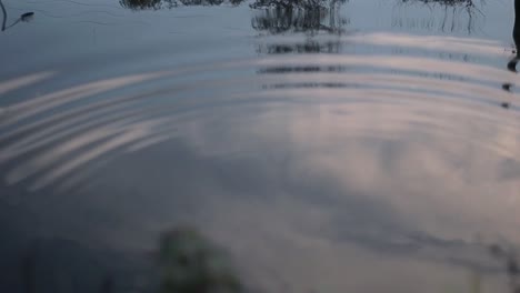 Kieselsteine-Im-Wasser-Erzeugen-Wellen,-Die-Den-Himmel-Widerspiegeln