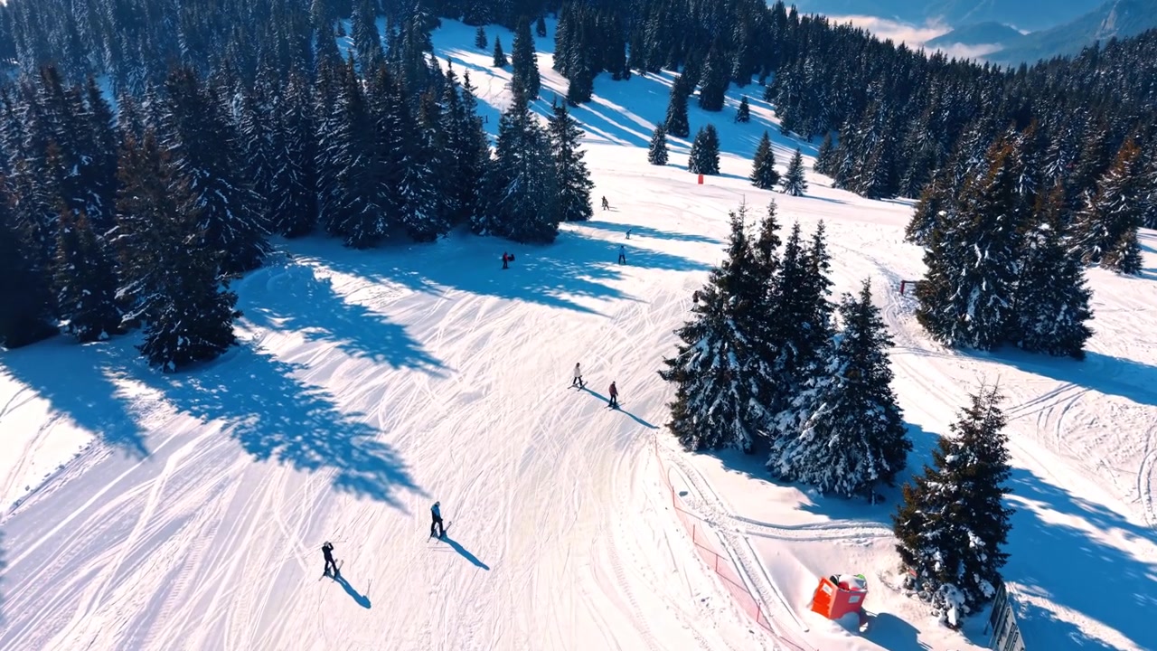 Skiers on a sunny snow covered slope surrounded by evergreen forest. Long shadows stretch across the white track while people enjoy outdoor winter sports in sunlight.