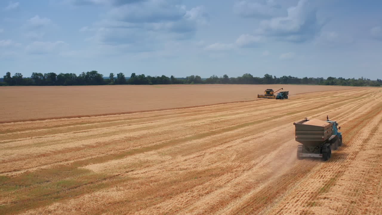 Full uploaded tractor goes slowly by the farmlands. Another tractor being downloaded with grain from yellow harvester.