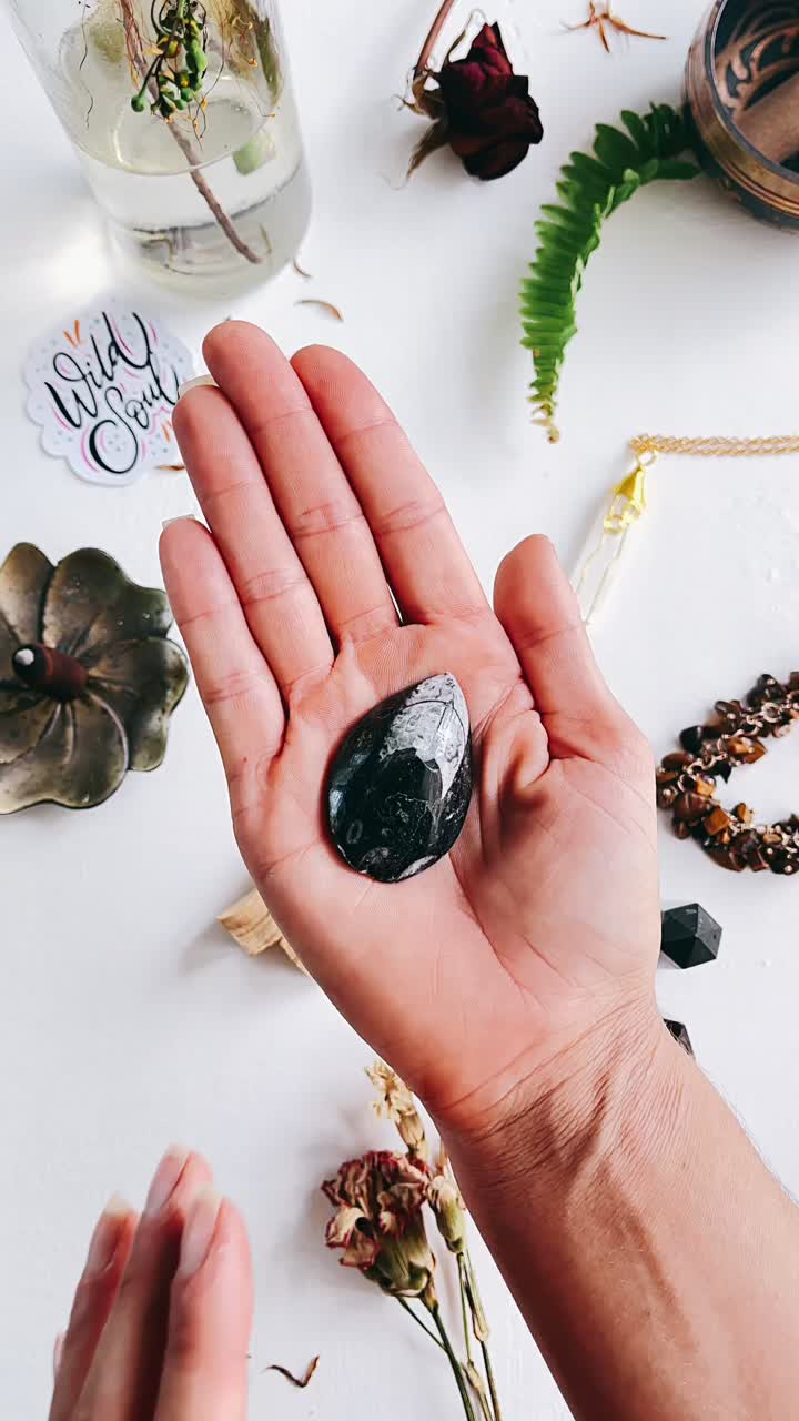 Holding a Beautiful Fossil Gemstone