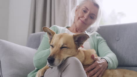 Happy-senior-woman-petting-her-mix-breed-dog