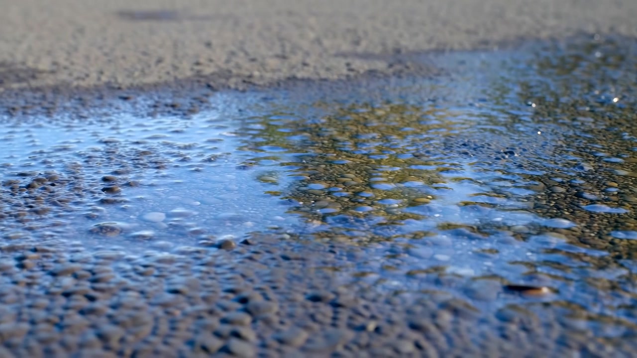 Low-angle view of a shallow puddle in the lower center foreground on textured wet pavement, with blurred reflections of trees and sky across the water under