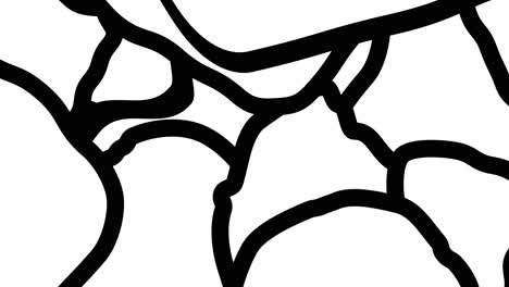 abstract black and white animated pattern