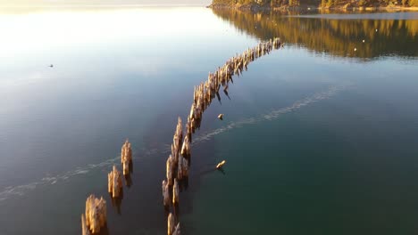 evening sunset drone aerial over glenbrook, lake tahoe, nevada, with old pier pilings coming out of calm water