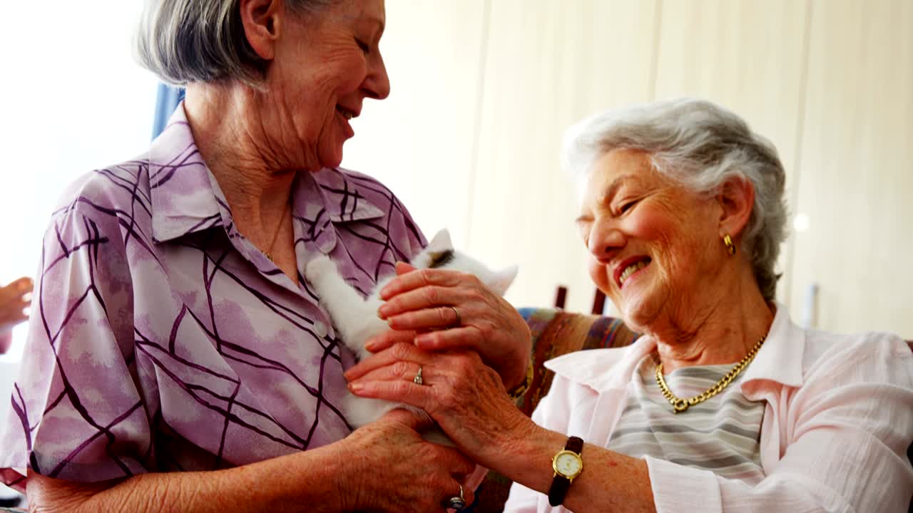노인 가정 에서 의자 에 있는 새끼 고양이 를  ⁇ 는 노인 여성 4k