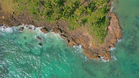 toma aérea de una isla tropical con plantaciones de palmeras, costa y mar caribe cristalino durante la luz del sol