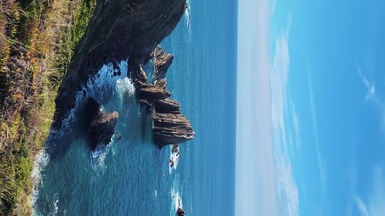 Zambujeira do Mar sulla costa con onde oceaniche, scogliere e dune di sabbia ricoperte da vegetazione verde e foglie rosse di fico degli Ottentotti, in una giornata di sole con cielo azzurro limpido