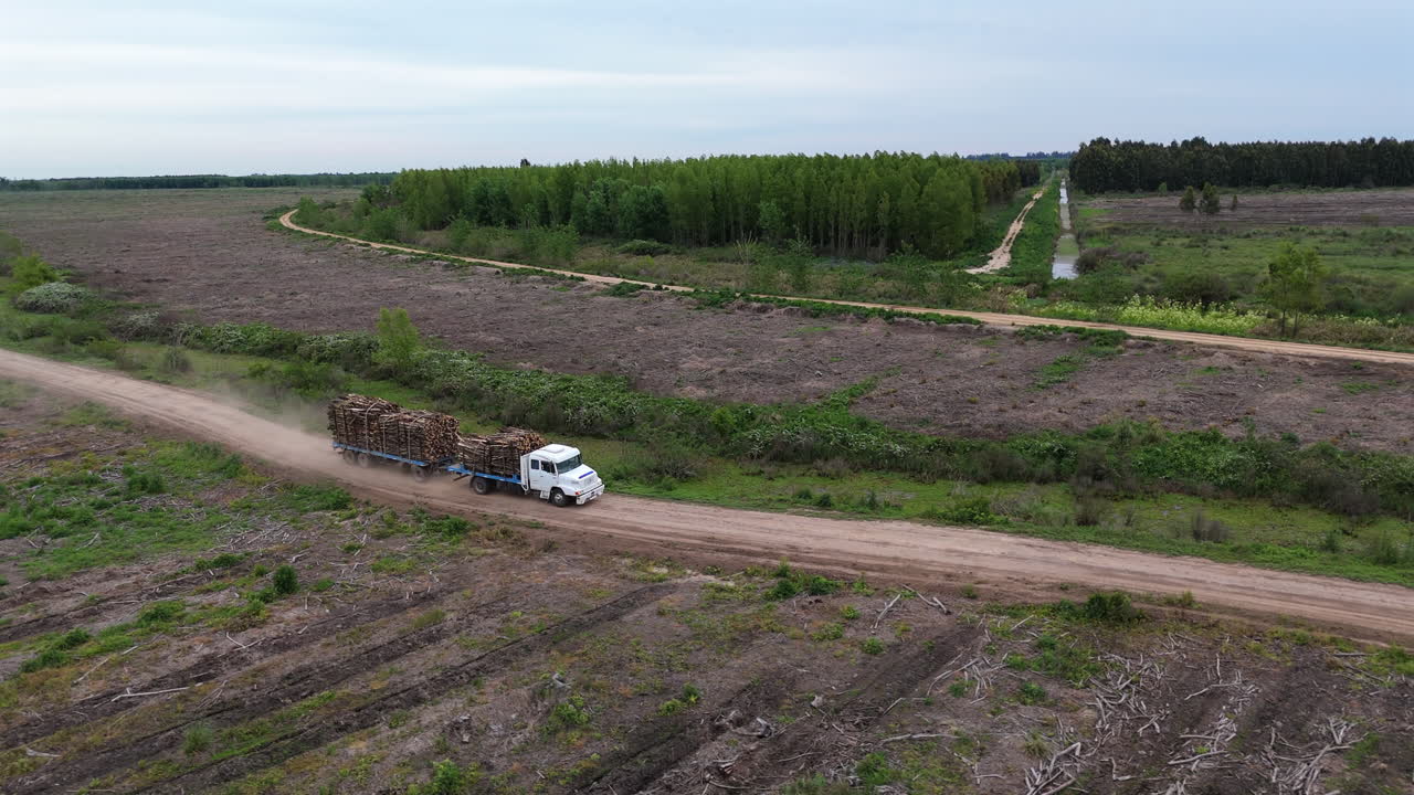 Side aerial view of log truck driving down rural dirt road in Argentina