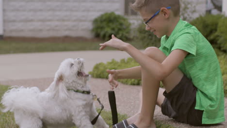 cute boy plays with his little white dog outside in the front yard, slow motion