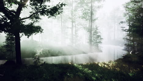 morning mist envelops tranquil forest landscape near a serene waterway