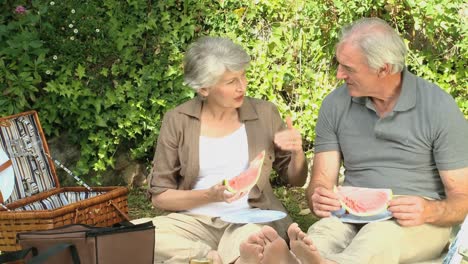 pareja de edad festejando en un picnic