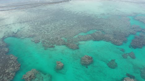 sideways aerial of stunning coral reef ecosystem with clear turquoise water