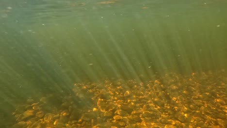 underwater view of sun shining through the clear river on a beautiful summer day