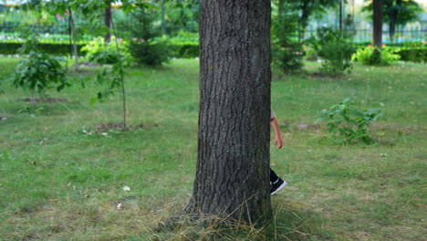cute caucasian baby boy runs around the tree in the park. little kid hides behind the tree trunk.