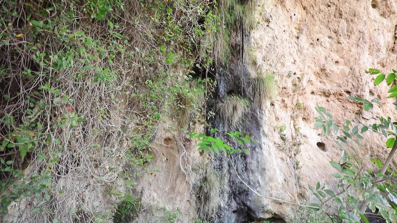 Ao và Vách đá, Hẻm núi Garita, Sierra Penjamo, Guanajuato, Mexico - Cảnh quay lia máy lên