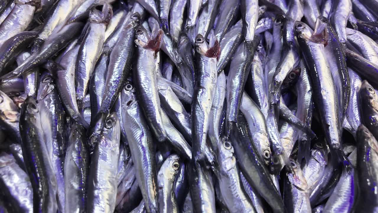 Pile of Fresh Silver Fish at a Market