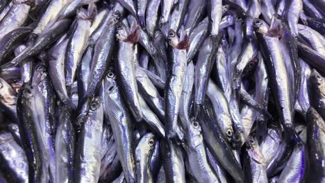 pile of fresh silver fish at a market