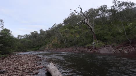 Wide-shot-of-a-high-country-river-flowing-through-the-mountain-landscape-in-the-Australian-bush