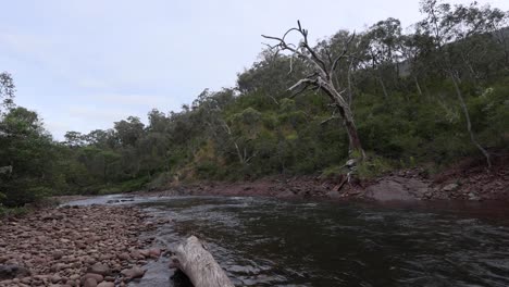 wide shot of a high country river flowing through the mountain landscape in the australian bush