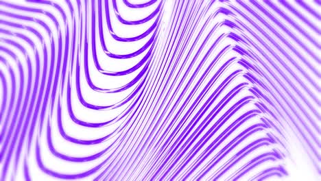 purple and white wave seamless loop pattern abstract motion background. 3d animation