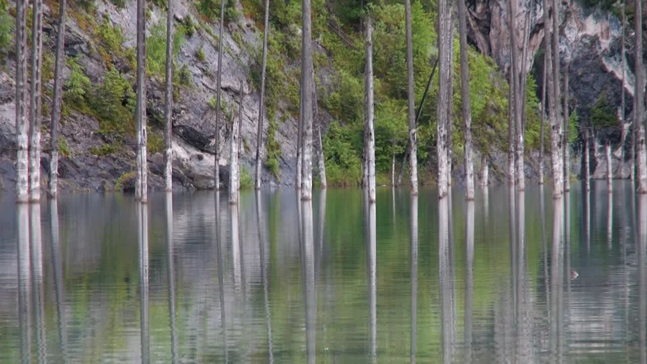 자작 나무 호수 또는 수중 숲으로도 알려진 카자흐스탄의 kaindy 호수