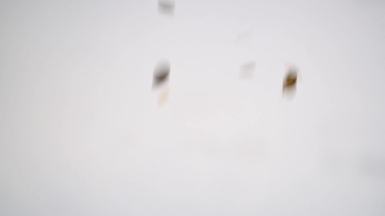 색 배경 에 금색 콘페티 가 떨어지는 것