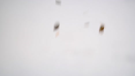 gold confetti falling against a white background