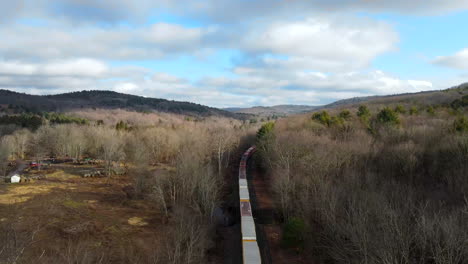 video de drones de un tren que atraviesa el bosque