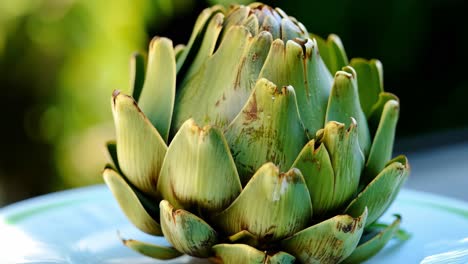 glossy green artichoke rotating slowly on white plate, revealing smooth curves, detailed texture, fresh organic produce spinning with elegant circular movement