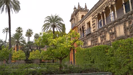 slow motion reveal inside seville gardens with few people walking