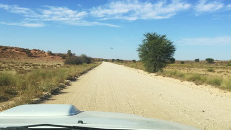 la vista de los caminos de tierra de kalahari a través de un vehículo de safari en el parque transfronterizo de kgalagadi en un día normal
