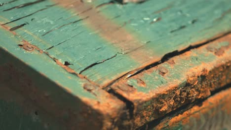 close-up of a green metal box with red and orange rust