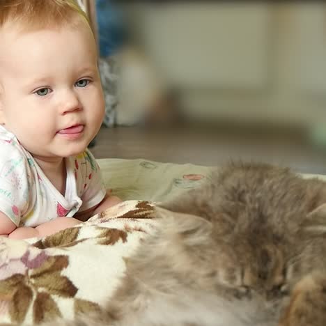 cute baby girl with cat