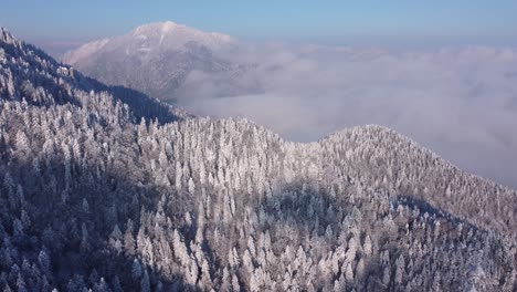 immerse in the breathtaking winter landscape as the drone glides over snow-covered trees on the mountain peak, beneath a sea of clouds