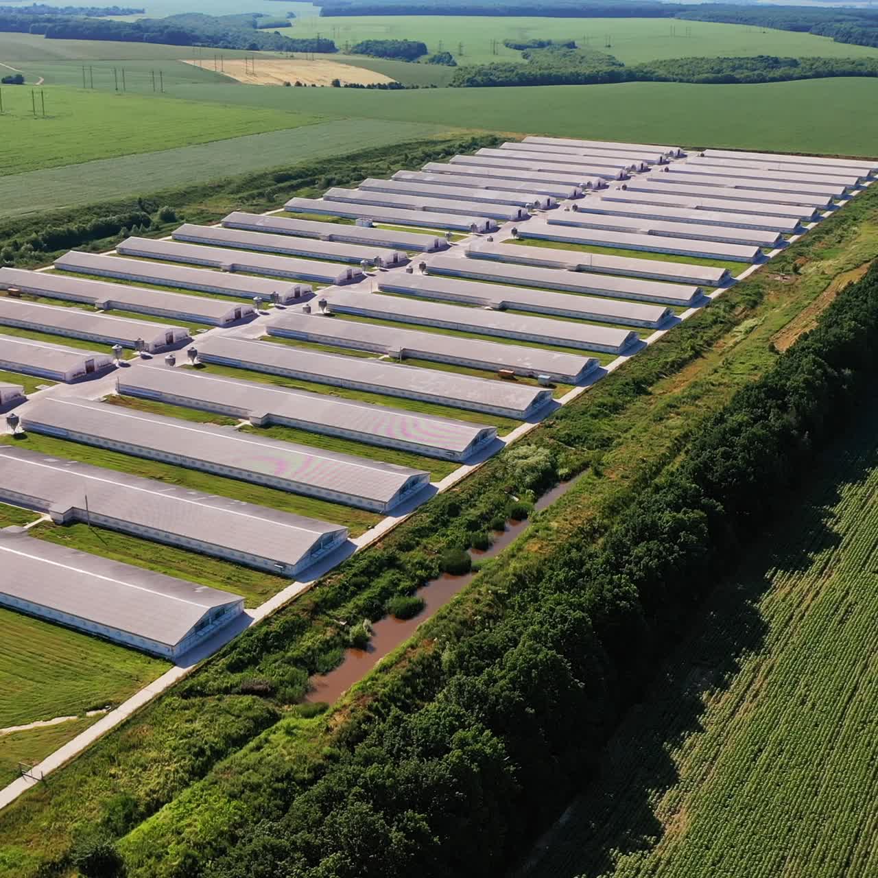 Modern farm locating in the rural farmlands. Long grey barns for keeping and breeding domestic animals. Top view. Agricultural fields backdrop