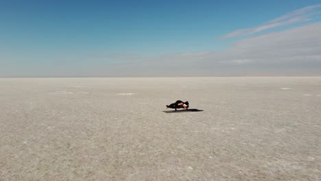 woman practicing yoga in wild landscape