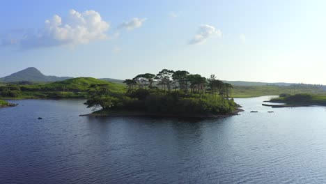isla de pinos, derryclare lough, connemara, condado de galway, julio de 2021