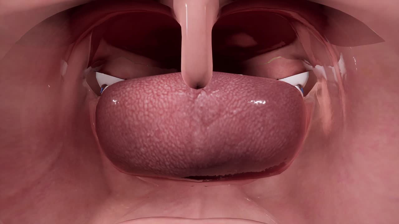orofaringe. cráneo facial. nervios faciales anatomía de la cabeza. animación en 3d