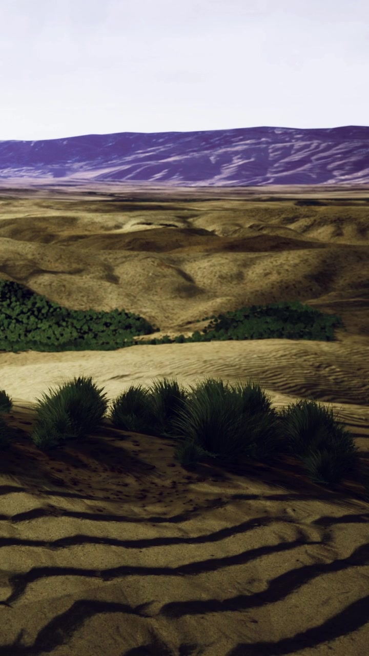 Paesaggio desertico con colline e vegetazione in lontananza durante il giorno