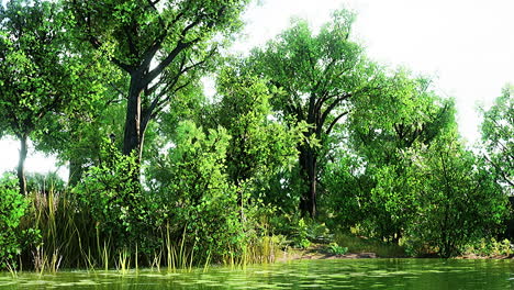green lawn in city park with swamp under sunny light