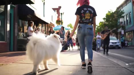woman and dog walking down a city street