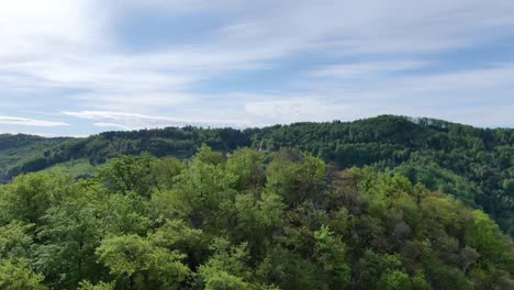 amazing aerial view of the slovenia wilderness - nature, drone