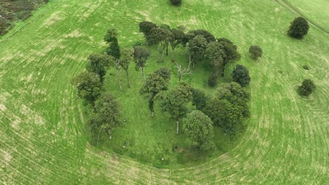 aerial drone shot of fairy fort in ireland september in waterford