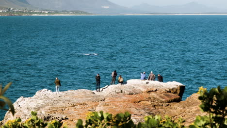 spectators get prime spot on rocks to do whale watching in hermanus