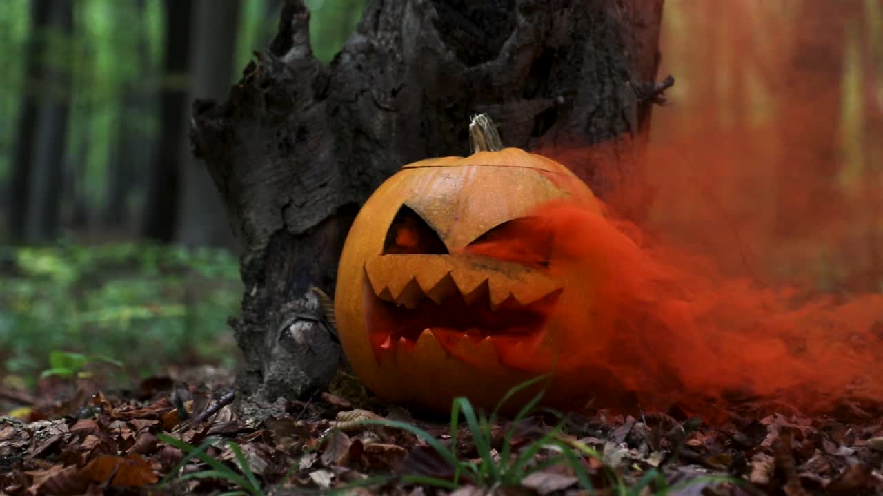 cerca de una calabaza de halloween con humo naranja en un bosque espeluznante, cámara lenta