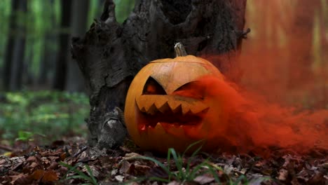 close up on a halloween pumpkin with orange smoke in a creepy forest, slow motion