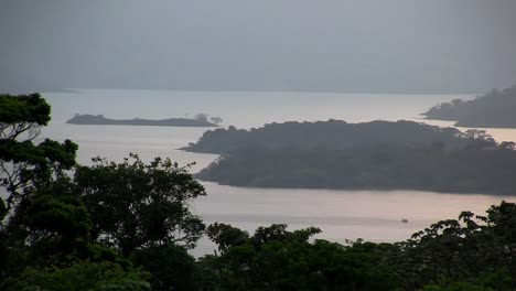 A-generic-shot-of-a-tropical-jungle-with-ocean-background