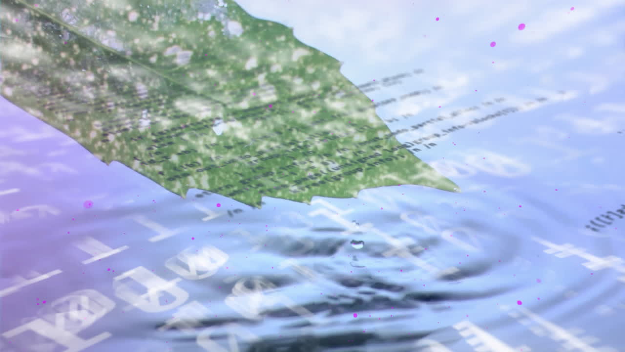 잎과 물에 대한 데이터 처리의 애니메이션