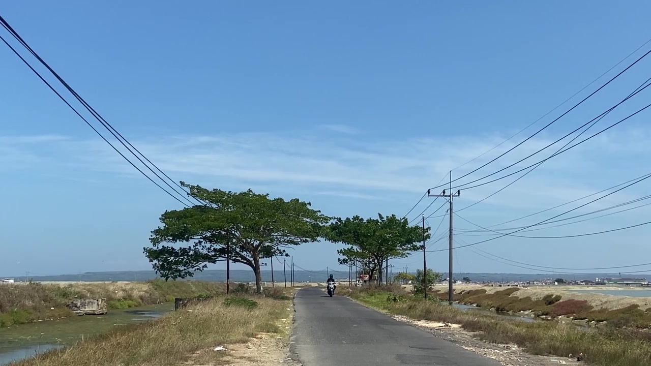 Xe máy chạy trên con đường nông thôn có hàng cây và đường dây điện.